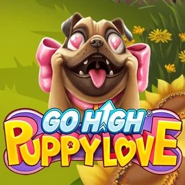 Go High Puppy Love casino game by RubyPlay – featured logo at Casea Casino
